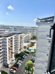 Blk 921 TAMPINES PALMSVILLE (Tampines), HDB 4 Rooms #579678791